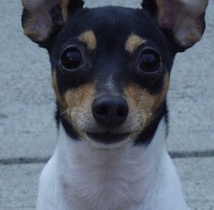 Meet your Posher, Shiela